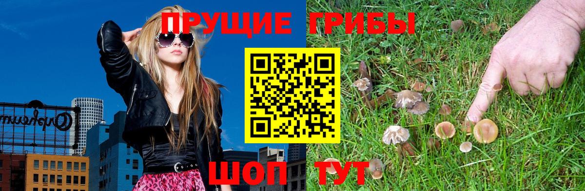 Галлюциногенные грибы мухоморы Клин