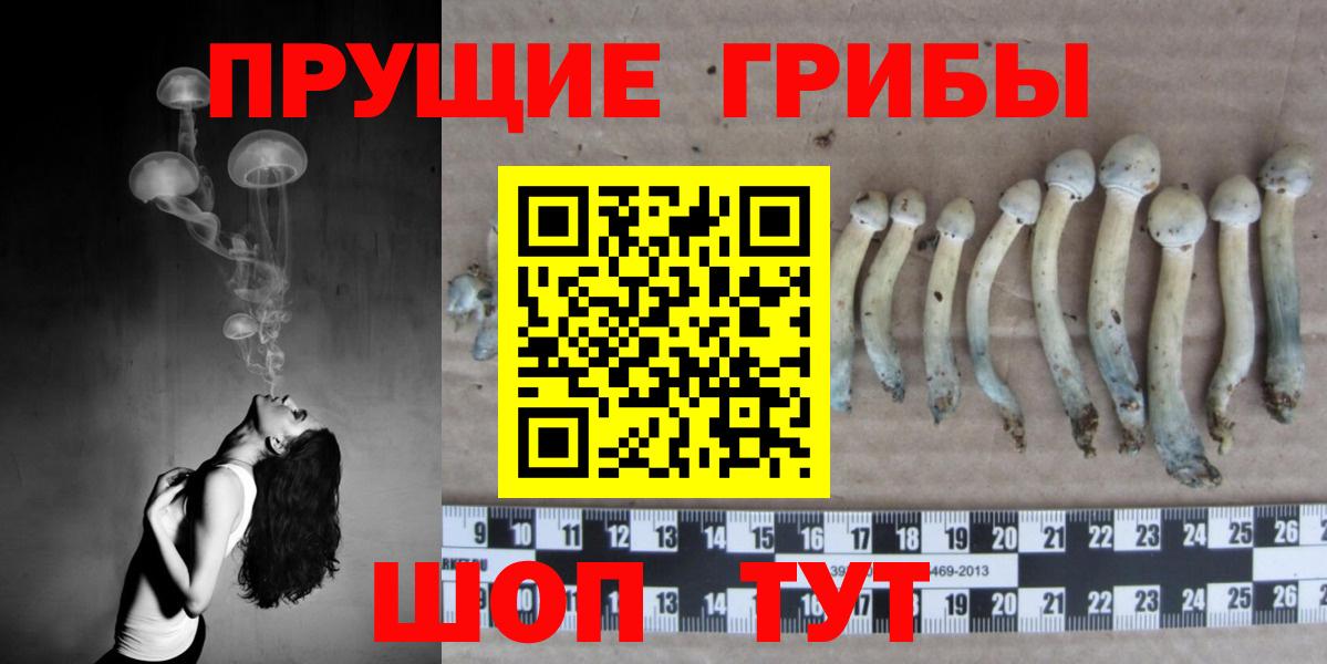 Клин  Псилоцибиновые грибы Psilocybine cubensis  Вход с VPN 